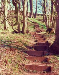 Jubilee Steps